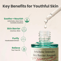 AXIS - Y Artichoke Intensive Skin Barrier Ampoule 30ml - Beauty Glams