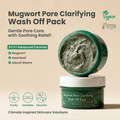 Axis Y Mugwort Pore Clarifying Wash Off Pack 100ml - Beauty Glams