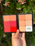 Carla Secret Concealer & Blush Professional Makeup - Beauty Glams