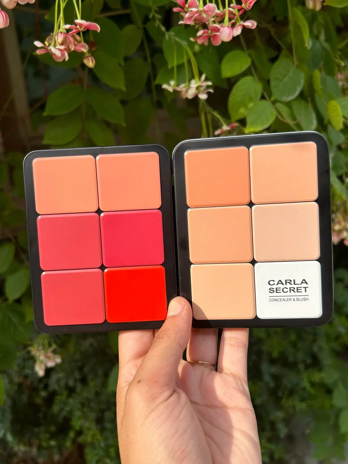 Carla Secret Concealer & Blush Professional Makeup - Beauty Glams